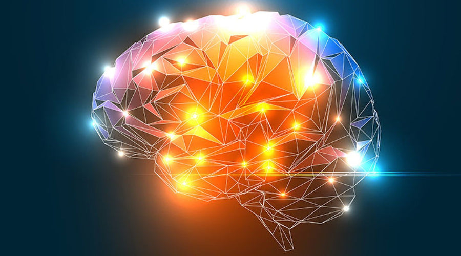 Nootropics: Can We Make Ourselves More Intelligent?