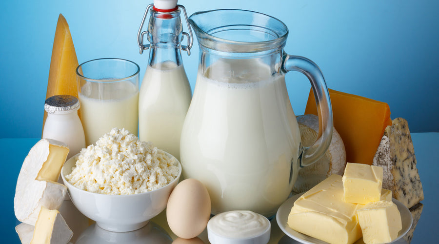 Branched Chain Amino Acids