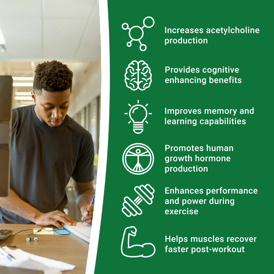 What Are The Benefits Of Glycerophosphocholine? - Blog What Are The Benefits Of Glycerophosphocholine? - Blog